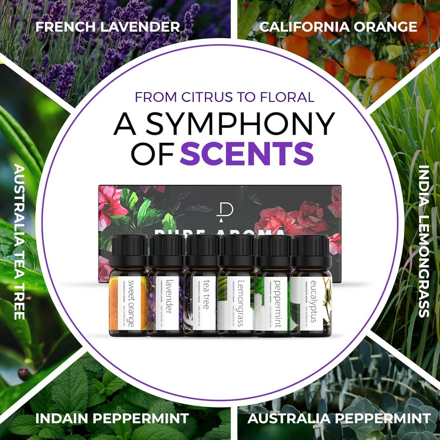 Aroma Bliss Essential Oils Set